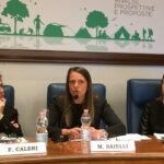 Turismo: Assocamping, bene proroga adempimenti catastali per le strutture ricettive all’aria aperta